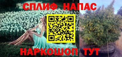 скорость Пушкино