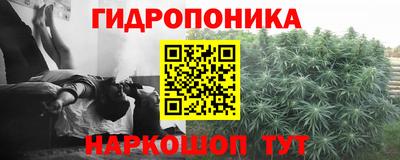 наркотики Пугачёв