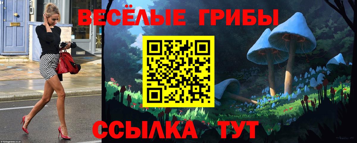 купить наркотики цена  Вход с VPN  Галлюциногенные грибы прущие грибы  Тамбов  Псилоцибиновые грибы MAGIC MUSHROOMS 